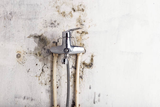 Best Commercial Mold Remediation in Madras, OR