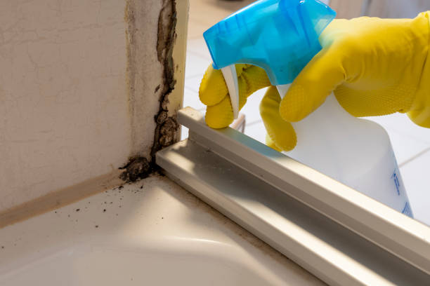 Best Emergency Mold Remediation in Madras, OR